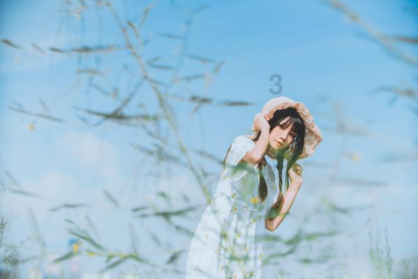 梦想的后院